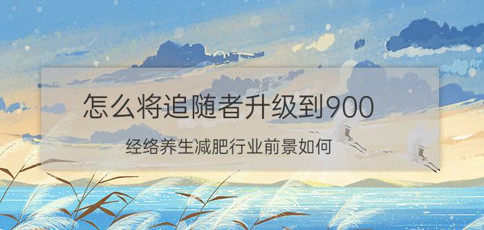 怎么将追随者升级到900 经络养生减肥行业前景如何？